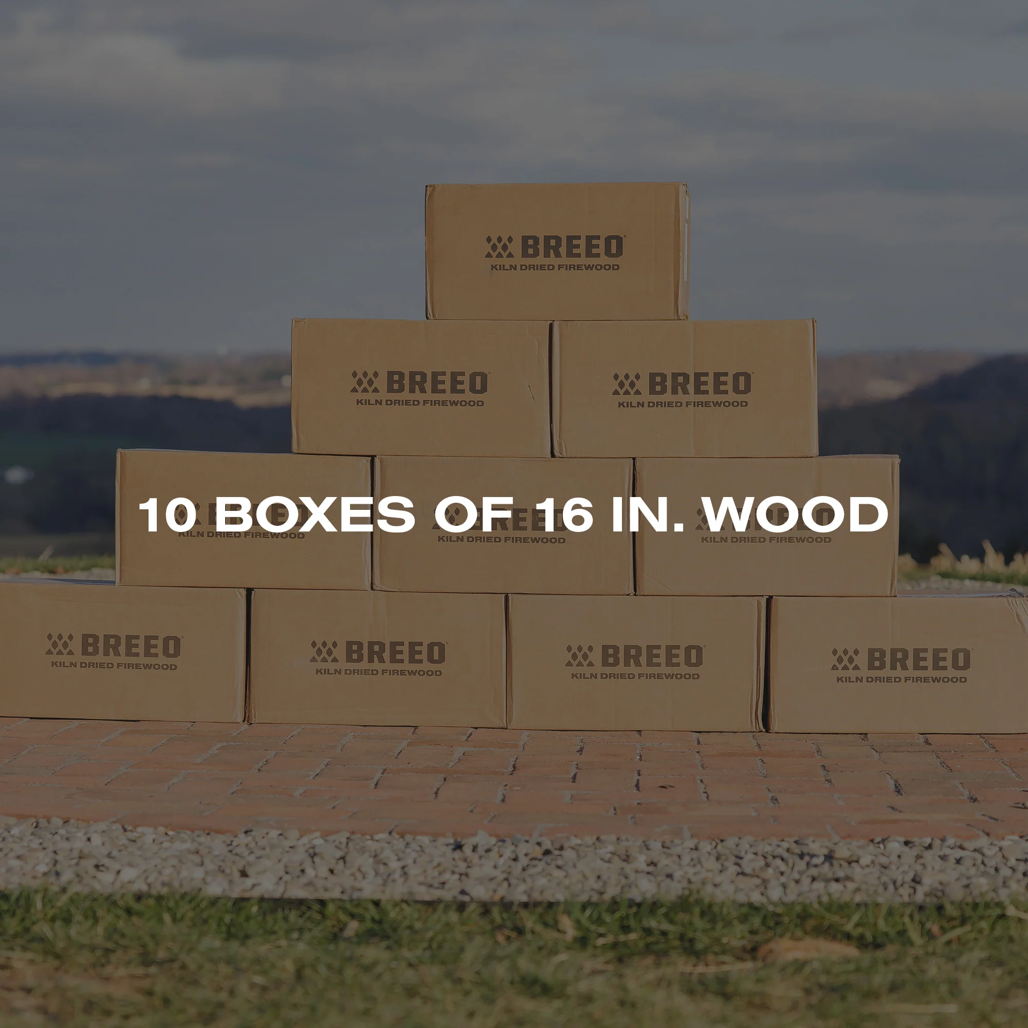 Oak Firewood - Image 12